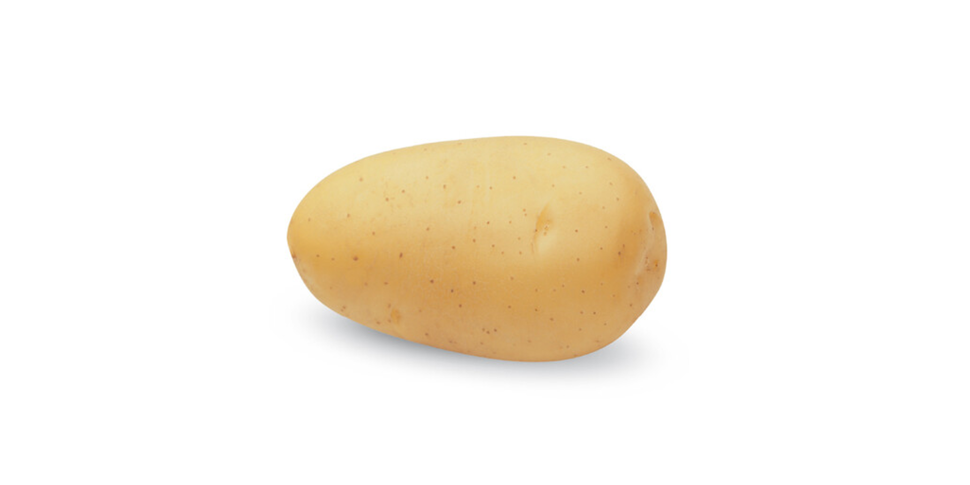 その他 POTATO 2018.01~2019.02,10 Wild Potato Relatives Have Potential to Control Zebra Chip Disease